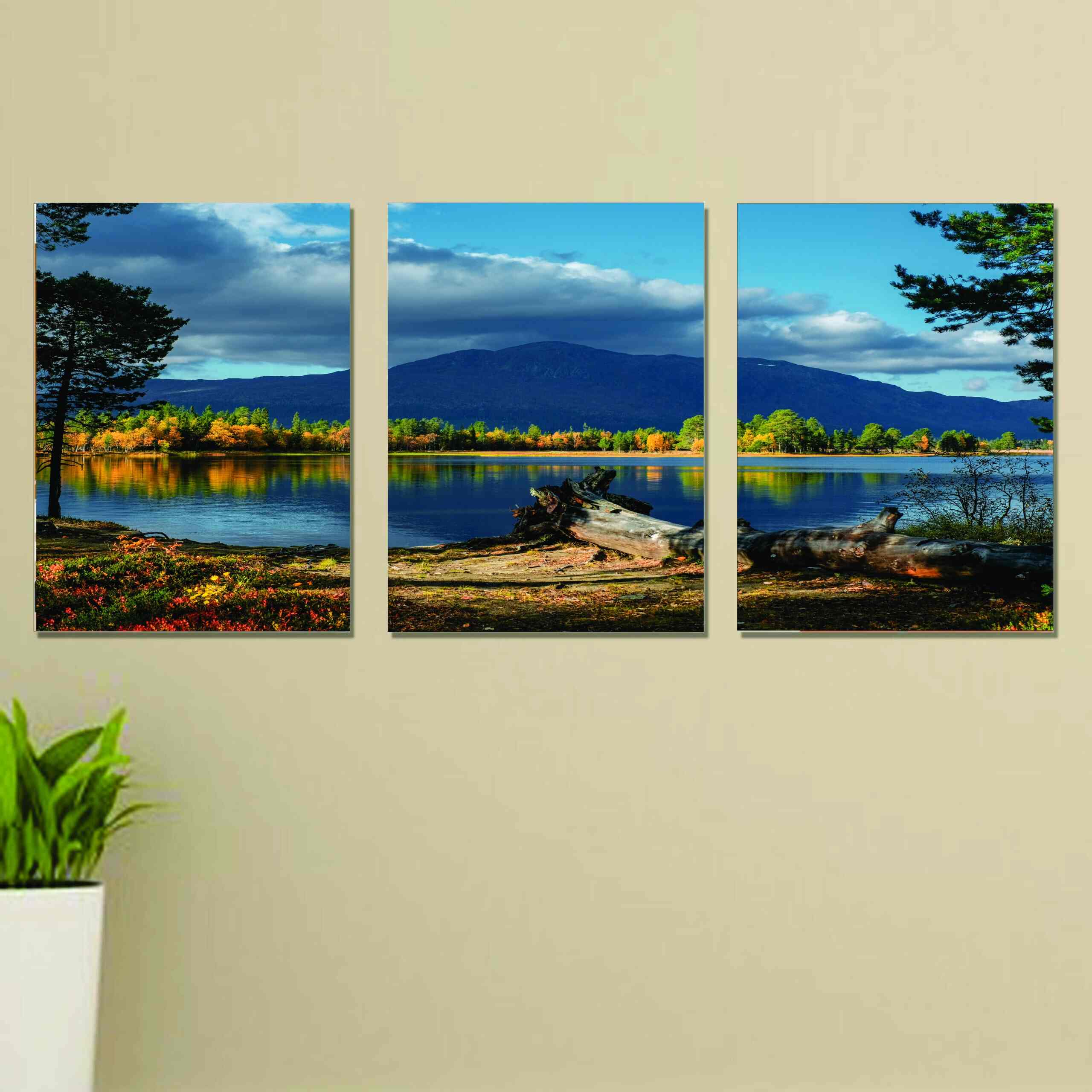 Calm & Cozy Nature Frames